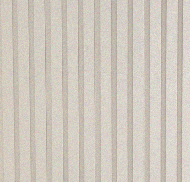NWP TREND LATTE